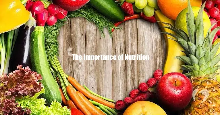 Why Nutrition Is So Important??